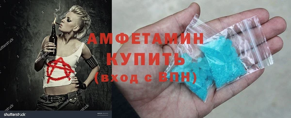 индика Новодвинск