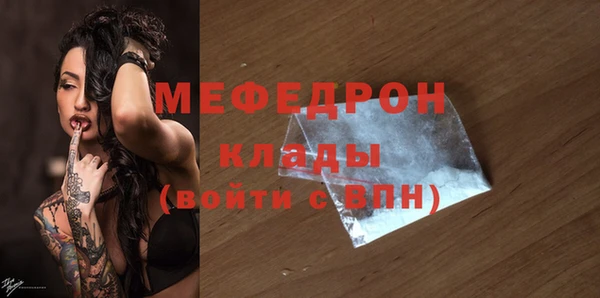 индика Новодвинск