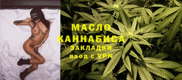 индика Новодвинск