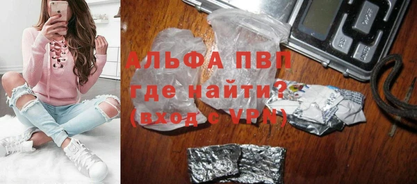 спиды Каменногорск
