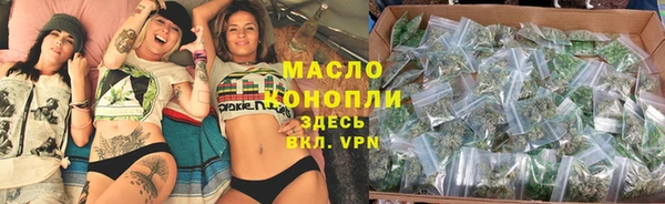 индика Новодвинск