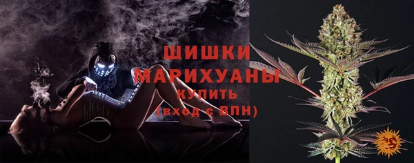 сатива Абдулино